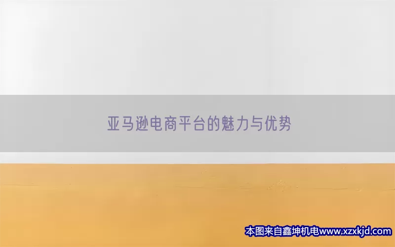 亚马逊电商平台的魅力与优势(pic1)