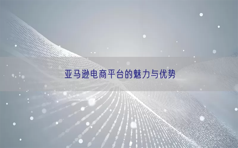 亚马逊电商平台的魅力与优势