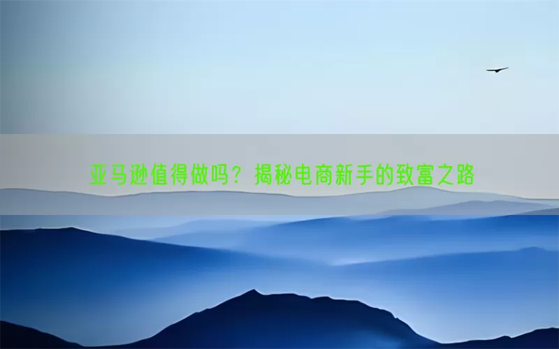 亚马逊值得做吗？揭秘电商新手的致富之路