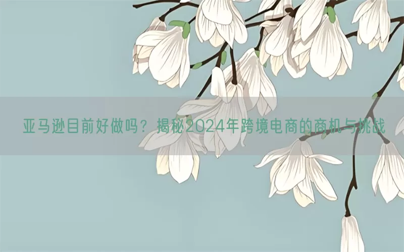 亚马逊目前好做吗？揭秘2024年跨境电商的商机与挑战