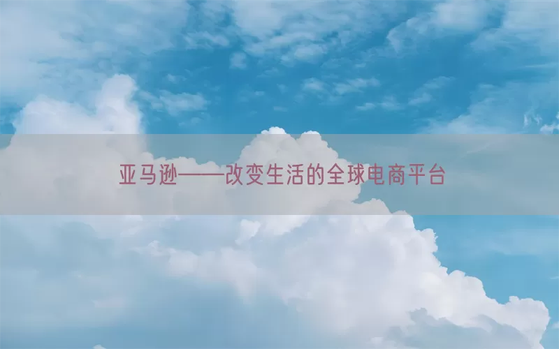 亚马逊——改变生活的全球电商平台