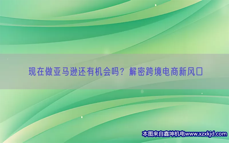 现在做亚马逊还有机会吗？解密跨境电商新风口(pic1)