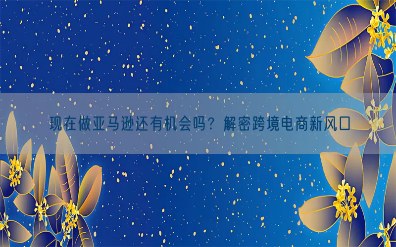 现在做亚马逊还有机会吗？解密跨境电商新风口
