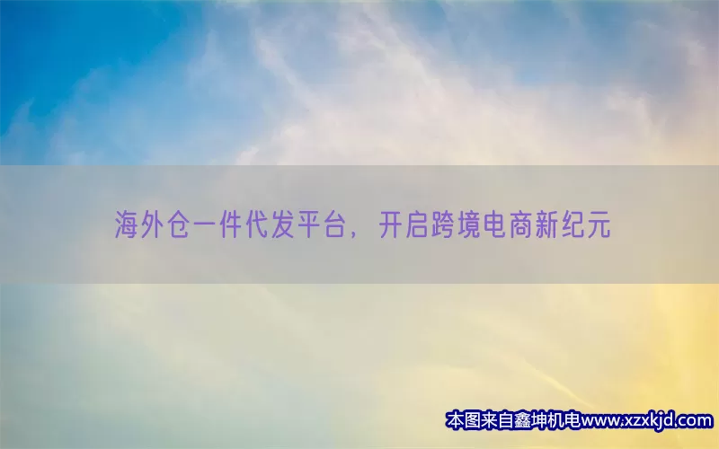 海外仓一件代发平台，开启跨境电商新纪元(pic1)