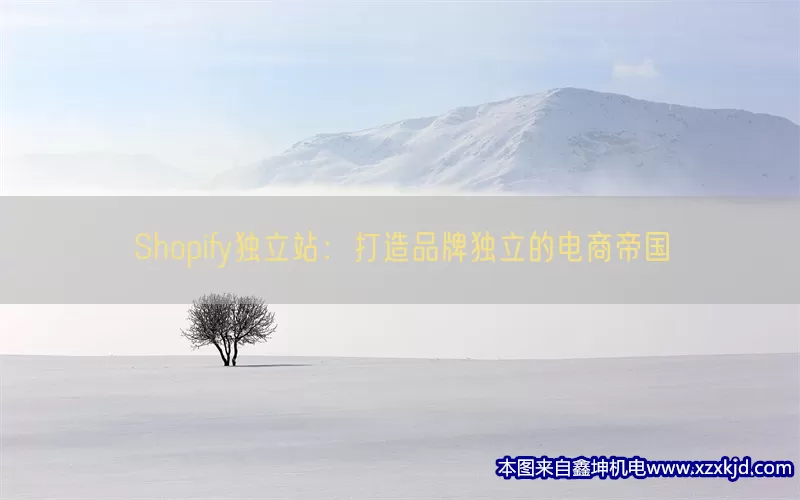 Shopify独立站：打造品牌独立的电商帝国(pic1)