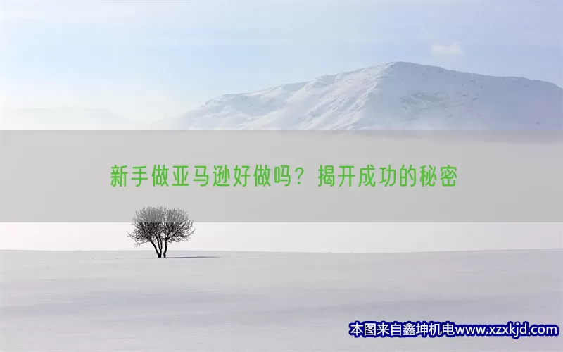 新手做亚马逊好做吗？揭开成功的秘密(pic1)