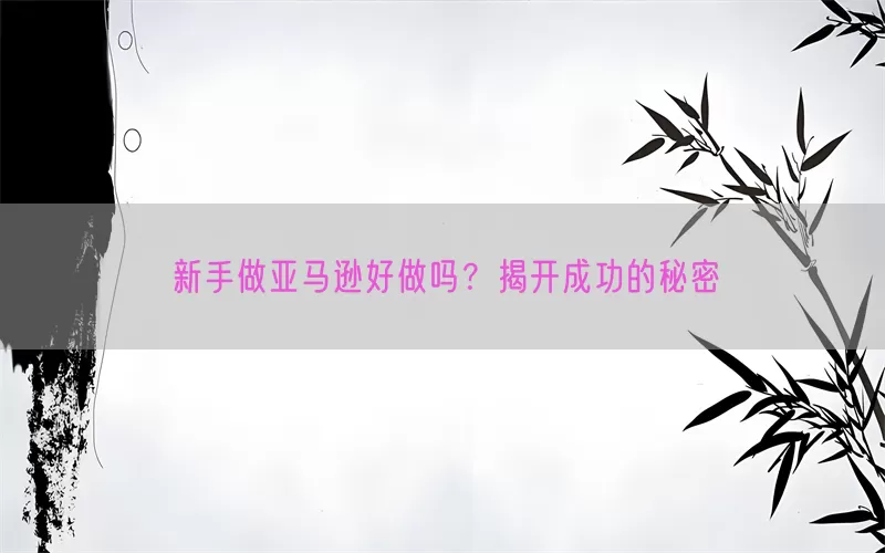 新手做亚马逊好做吗？揭开成功的秘密