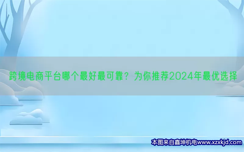 跨境电商平台哪个最好最可靠？为你推荐2024年最优选择(pic1)