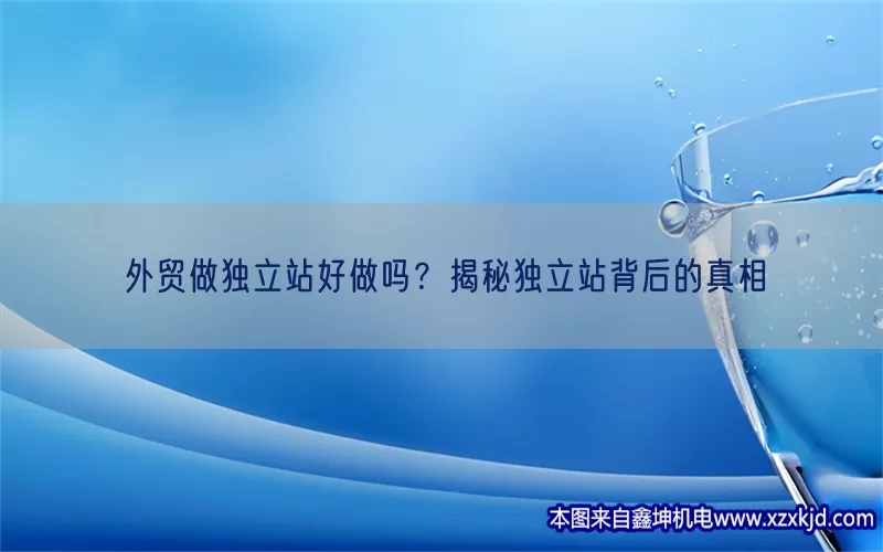 外贸做独立站好做吗？揭秘独立站背后的真相(pic1)