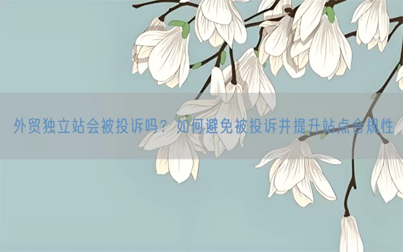 外贸独立站会被投诉吗？如何避免被投诉并提升站点合规性