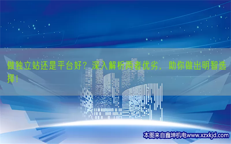 做独立站还是平台好？深入解析两者优劣，助你做出明智选择！(pic1)