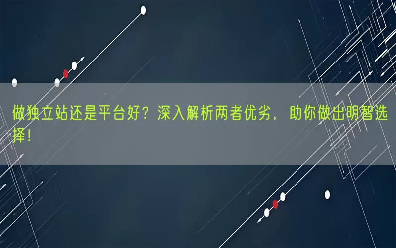 做独立站还是平台好？深入解析两者优劣，助你做出明智选择！