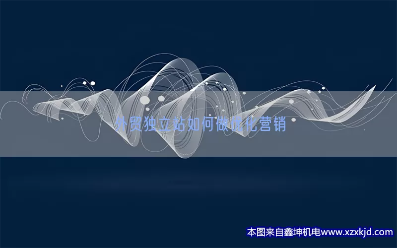 外贸独立站如何做优化营销(pic1)
