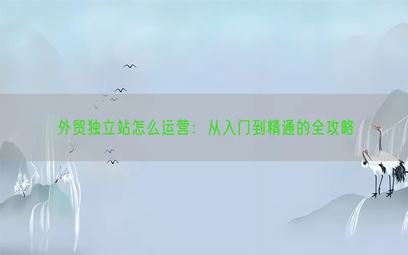 外贸独立站怎么运营：从入门到精通的全攻略