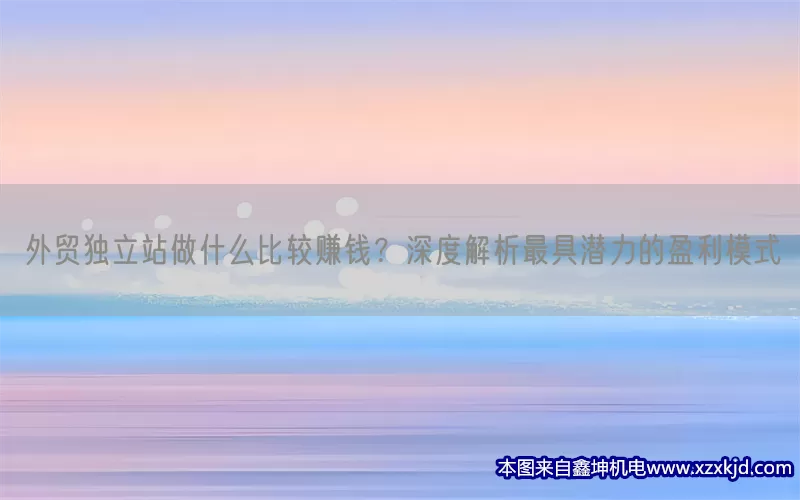 外贸独立站做什么比较赚钱？深度解析最具潜力的盈利模式(pic1)