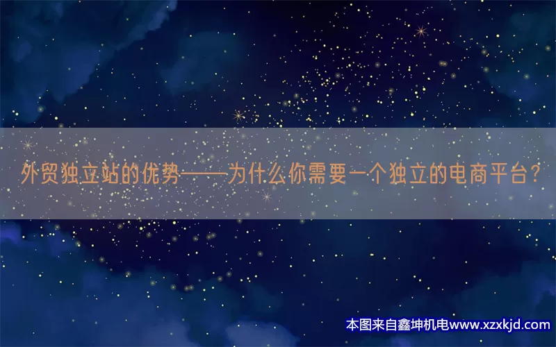 外贸独立站的优势——为什么你需要一个独立的电商平台？(pic1)