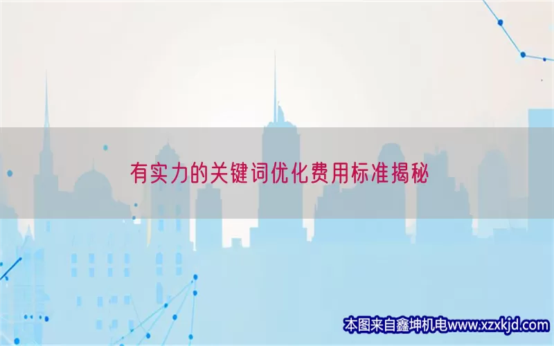 有实力的关键词优化费用标准揭秘(pic1)