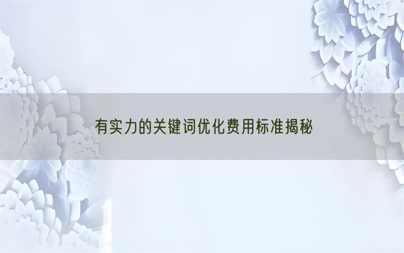 有实力的关键词优化费用标准揭秘