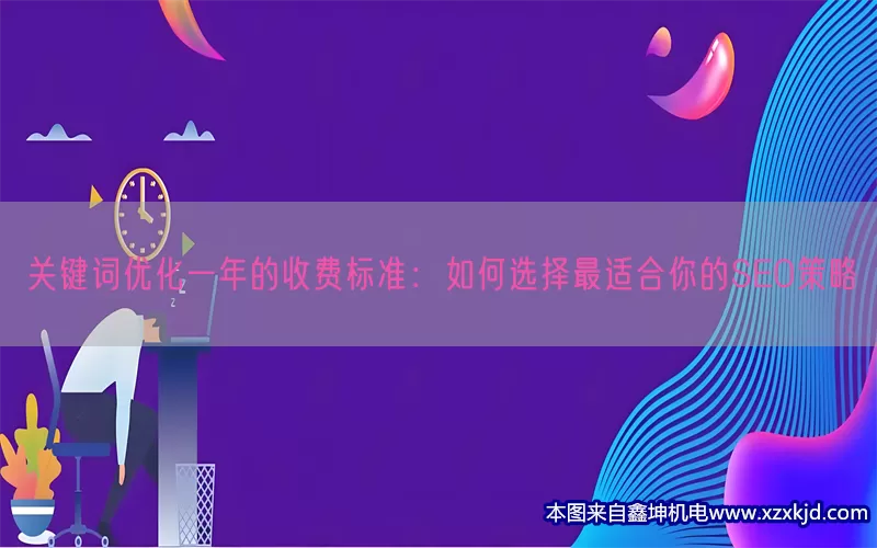 关键词优化一年的收费标准：如何选择最适合你的SEO策略(pic1)