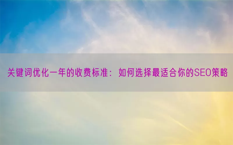 关键词优化一年的收费标准：如何选择最适合你的SEO策略
