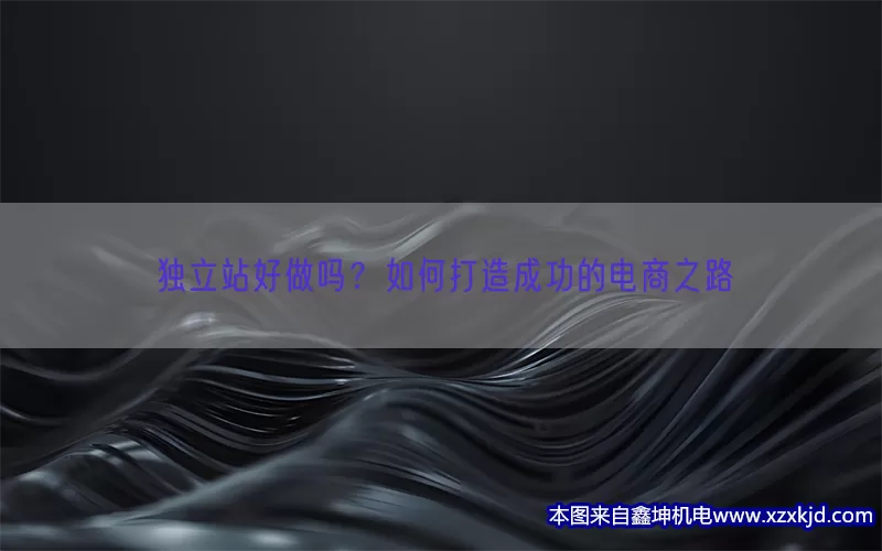 独立站好做吗？如何打造成功的电商之路(pic1)