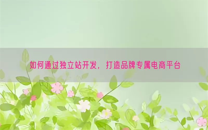 如何通过独立站开发，打造品牌专属电商平台
