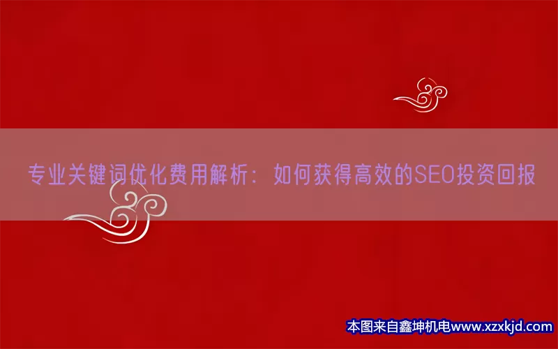 专业关键词优化费用解析：如何获得高效的SEO投资回报(pic1)