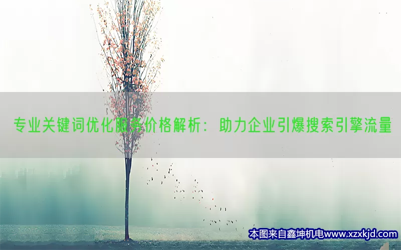 专业关键词优化服务价格解析：助力企业引爆搜索引擎流量(pic1)