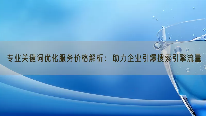 专业关键词优化服务价格解析：助力企业引爆搜索引擎流量