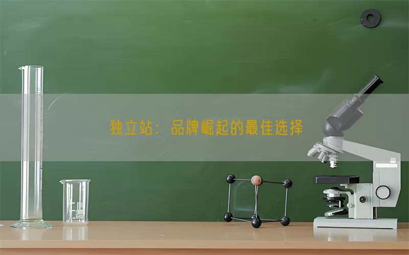 独立站：品牌崛起的最佳选择