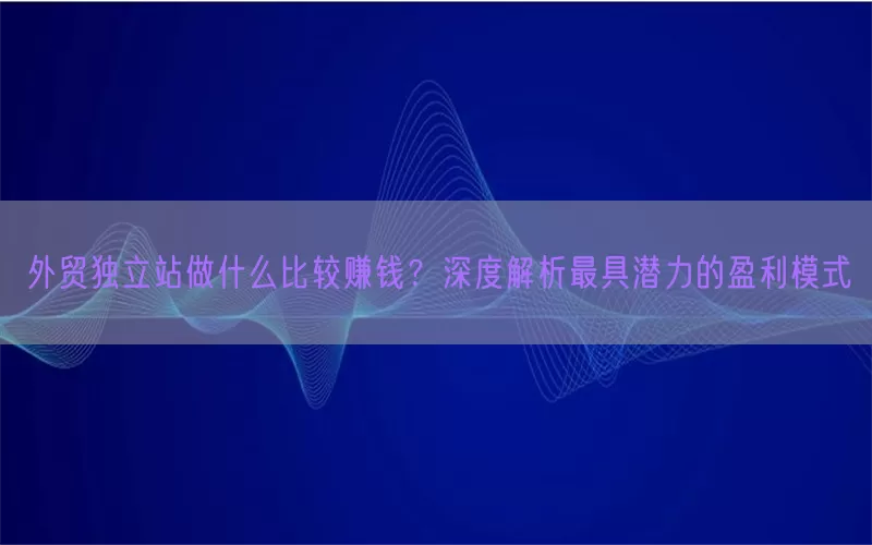 外贸独立站做什么比较赚钱？深度解析最具潜力的盈利模式