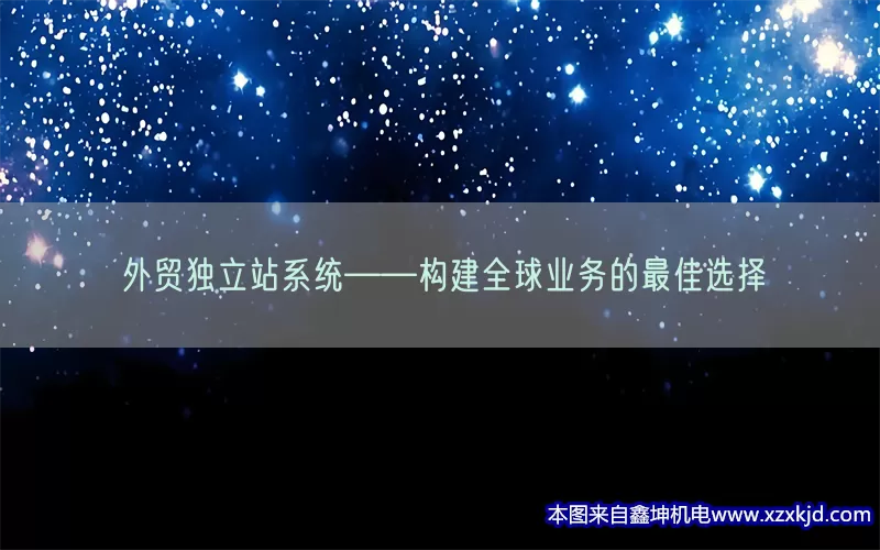 外贸独立站系统——构建全球业务的最佳选择(pic1)