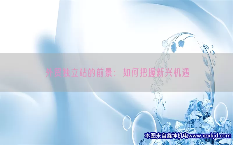 外贸独立站的前景：如何把握新兴机遇(pic1)