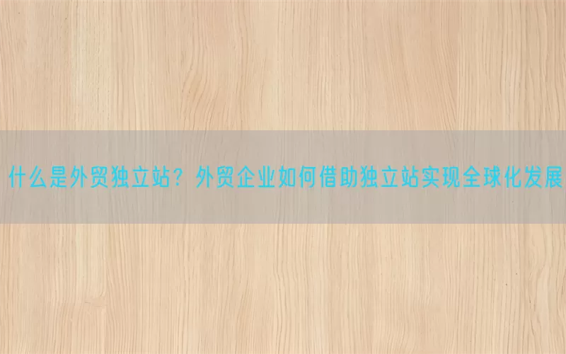 什么是外贸独立站？外贸企业如何借助独立站实现全球化发展