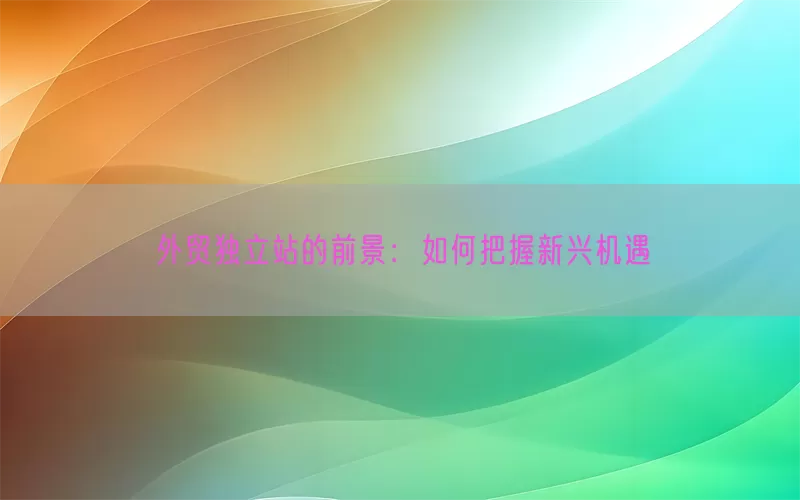 外贸独立站的前景：如何把握新兴机遇