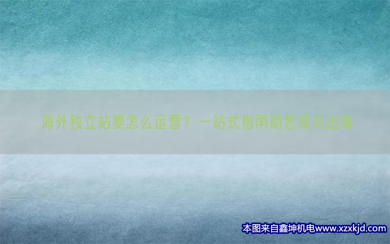 海外独立站要怎么运营？一站式指南助您成功出海(pic1)