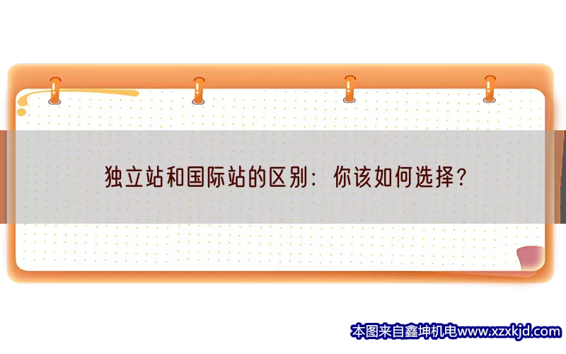 独立站和国际站的区别：你该如何选择？(pic1)