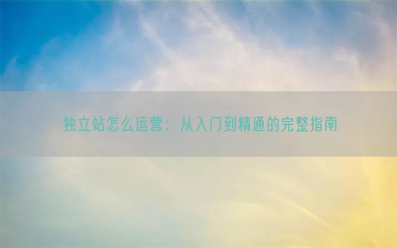 独立站怎么运营：从入门到精通的完整指南