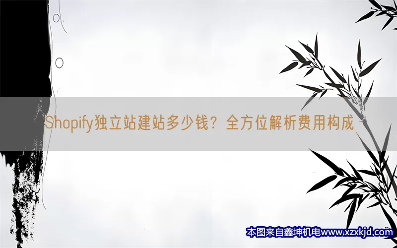 Shopify独立站建站多少钱？全方位解析费用构成(pic1)