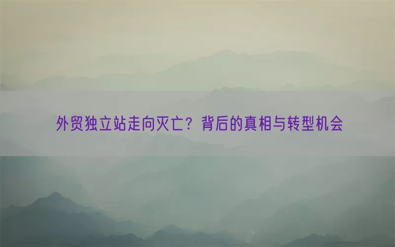 外贸独立站走向灭亡？背后的真相与转型机会