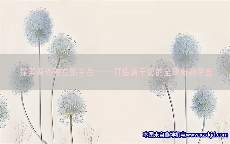 探索海外独立站平台——打造属于您的全球电商帝国(pic1)