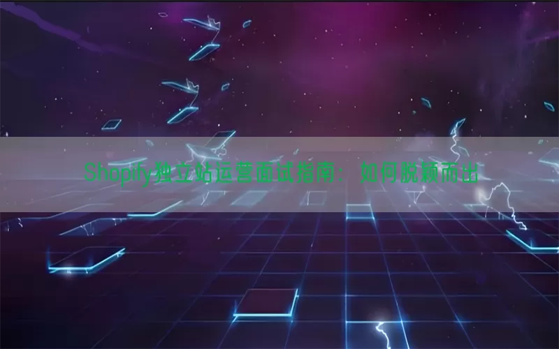 Shopify独立站运营面试指南：如何脱颖而出