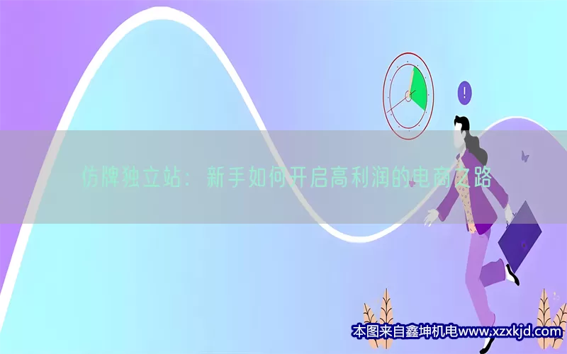仿牌独立站：新手如何开启高利润的电商之路(pic1)
