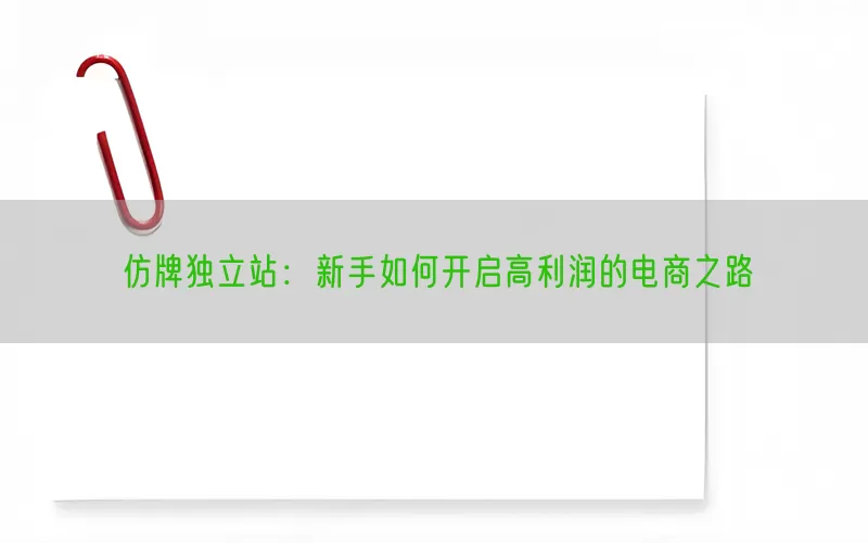 仿牌独立站：新手如何开启高利润的电商之路