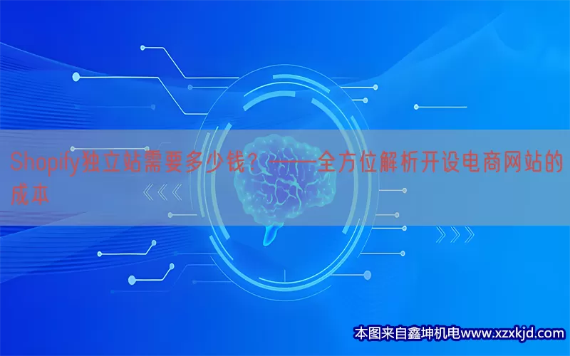 Shopify独立站需要多少钱？——全方位解析开设电商网站的成本(pic1)