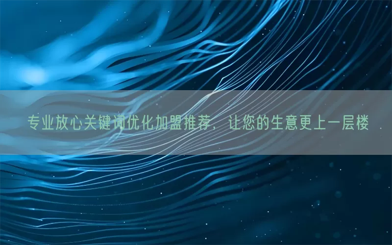 专业放心关键词优化加盟推荐，让您的生意更上一层楼
