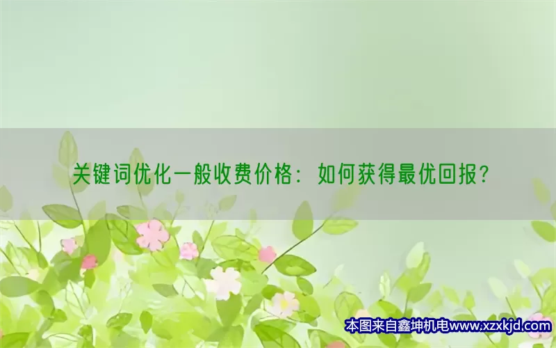 关键词优化一般收费价格：如何获得最优回报？(pic1)