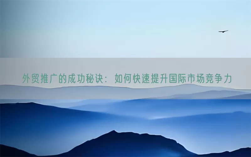 外贸推广的成功秘诀：如何快速提升国际市场竞争力
