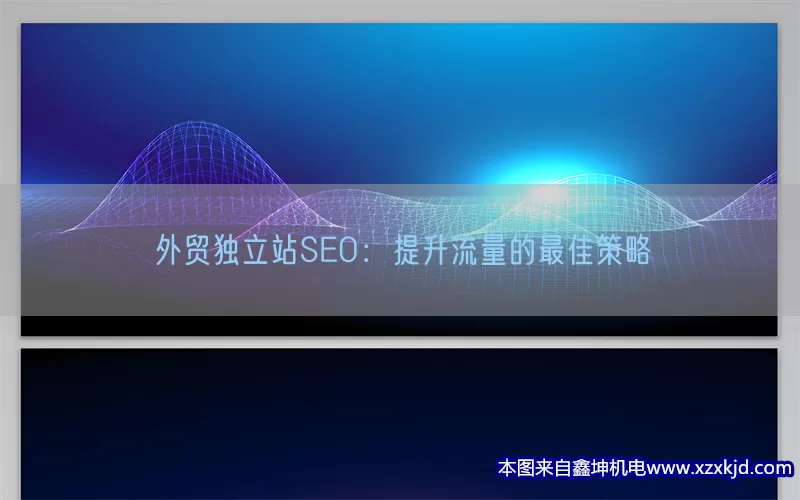 外贸独立站SEO：提升流量的最佳策略(pic1)