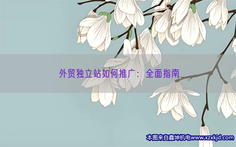 外贸独立站如何推广：全面指南(pic1)